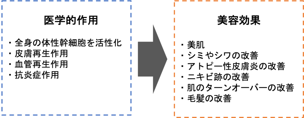 エクソソームの医学的作用と美容効果についての説明
