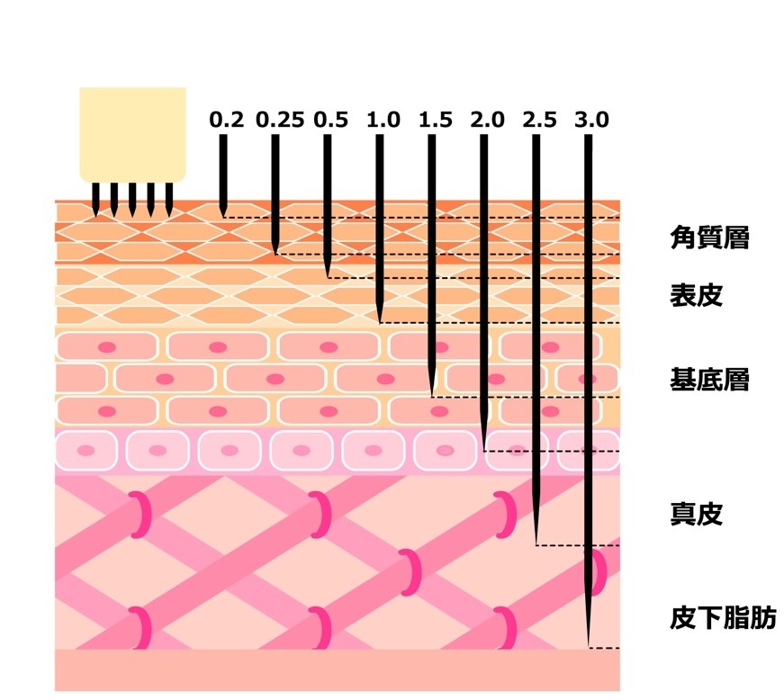 ダーマペンの針によってアプローチできる皮膚の層